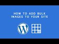 Bluehost WordPress Tutorial:  How to add bulk images to your site and add to a page (Bluehost)