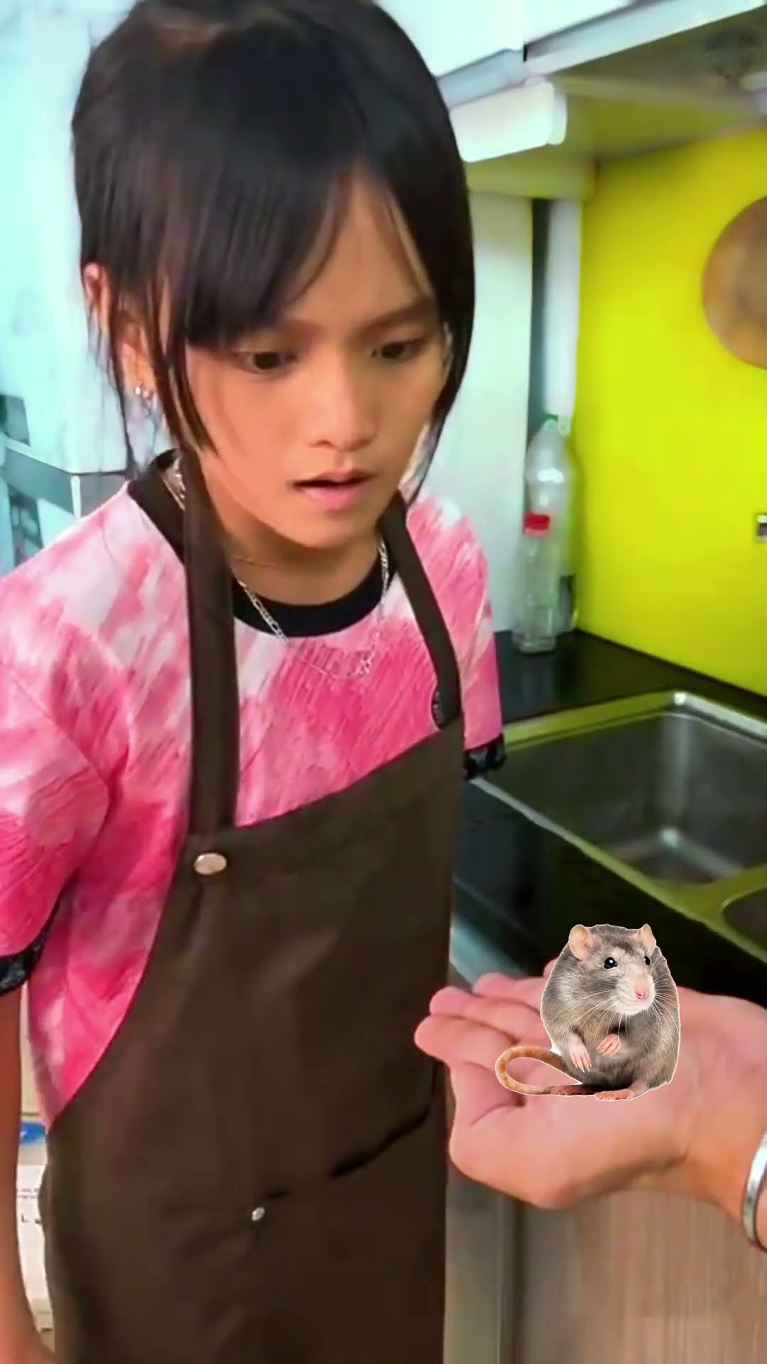 ACC -  Hãy Yêu Thương Động Vật || Please Love Animals. #funny #trending #troll
