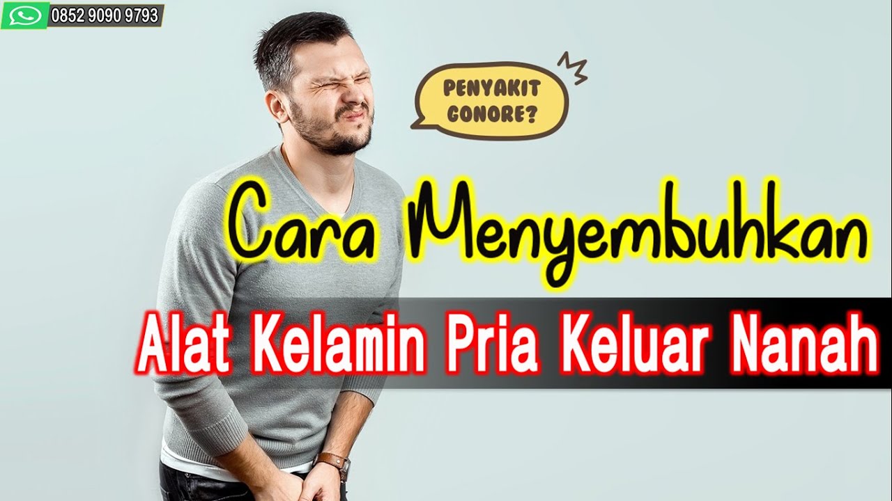  Cara  Menyembuhkan Alat  Kelamin  Pria Keluar Nanah YouTube