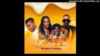 Speed Tribal feat. Fábio Dance & Teo No Beat - Mais Um Copo De Fino (Afro House)