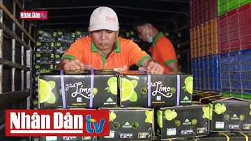 Tạo chuỗi dịch vụ Logistics để tăng sức cạnh tranh cho nông sản xuất khẩu |  Nhịp sống Miền Đông