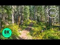 360 vr forest walk  8k virtual relaxation with soothing forest sounds  bird song  part 1