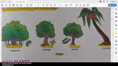 class 1 science chapter 7 our plant world part 1