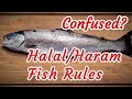 Halal & Haram Fish Islamic Rules - Ayatollah Sistani