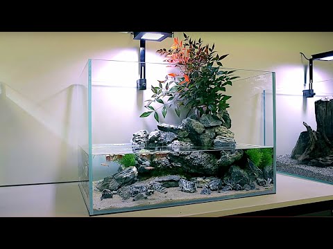 aquascape-tutorial:-white-cloud-mountain-minnow-stream-aquarium-w/-natural-spring-(how-to)
