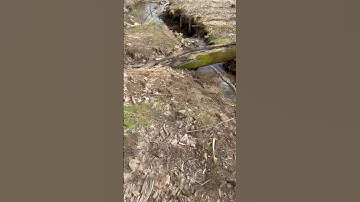 The Travelers(s:1 ep:2)