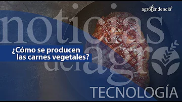 ¿Cuál es el peligro de la carne de origen vegetal?