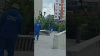 Zeci De Brazi Ornamentali Au Ajuns Pe Esplanada Din Centrul Sucevei