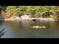 Log booms on the androscoggin river