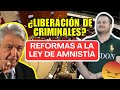 Lo que no te cuentan de la ley de amnista  anlisis jurdico