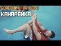 Канарейка. Как сделать болевой в партере.