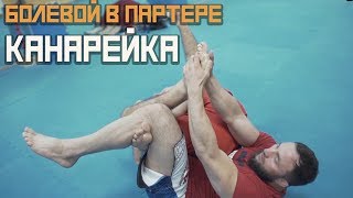 Канарейка. Как сделать болевой в партере. Канарейка. Как сделать болевой в партере.