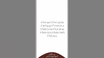 تلاوة في دقيقة سورة الغاشية الآيات من ٨ إلى ١٦ الشيخ نبيل الرفاعي