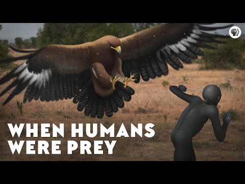 ⁣Humans as Prey: A History