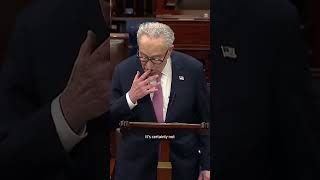 Schumer says ICE agents in airports is 'a terrible idea'