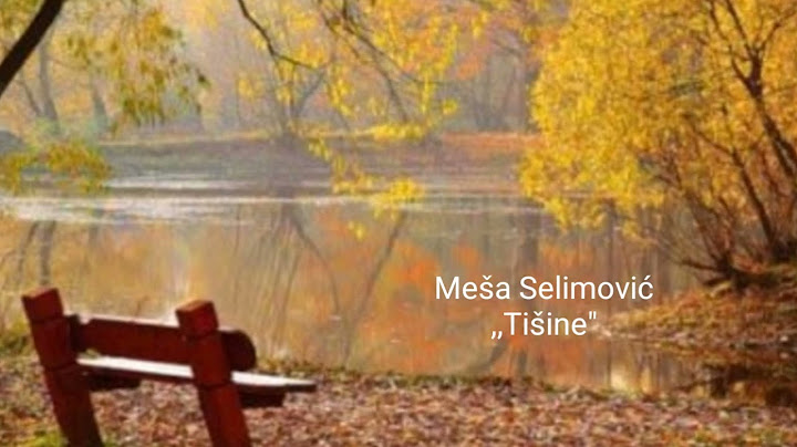 Meša Selimović - "TIŠINE"