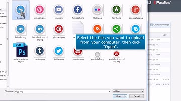Plesk: How to Upload Files With File Manager