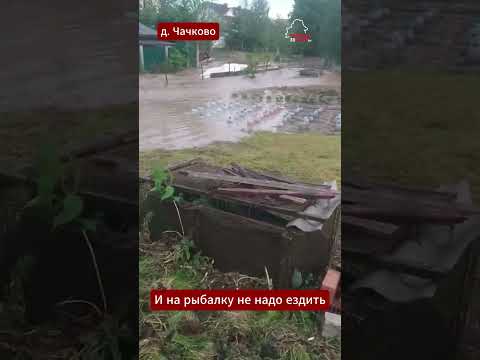 Огороды беларусов превратились