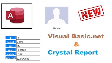 Master VB.NET: Build Crystal Report Profiles with MS Access Database