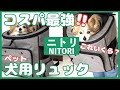 【ニトリ】ペット用リュックが凄すぎた‼️ニトリだからここまでできる流行りの犬用リュックのクオリティー【購入品紹介】【犬viog】