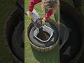 DIY Tire Water Lily Pond! 🌸💧#watergarden #diypond #gardenideas #upcycling #backyarddecor