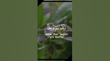 #قرآن #قران #قران_كريم #قرآن_كريم #آيات #ايات #ايات_القرآن_الكريم #ايات_مؤثرة #تلاوات #تلاوة_خاشعة