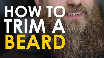 How to Trim a Beard | The Art of Manliness