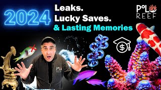 Polo Reef 2024 - What a Year! New Aquarium Builds, Koi Ponds and Polo Reef Guests!