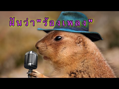 ทำนายฝัน/ฝันว่าร้องเพลง/ได้ยินเสียงเพลง/เลขเด็ดนำโชค