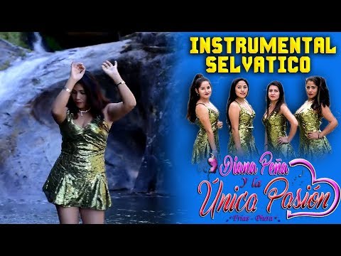La Unica pasion - Instrumental selvatico - PRIMICIA 2018 ► TASAIT PRODUCCIONES