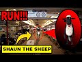 If you see cursed shaun the sheep outside of your house run away fast cursed shaun the sheepexe