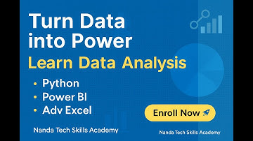 Data Analysis for Beginners | AI-Assisted 1-on-1 Training