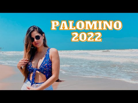 PALOMINO 2022 - CONOCE QUE HACER EN ESTE DESTINO! - YIRA C.