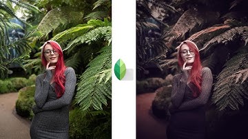Snapseed Unic Color Effect Editing 2019 | Best Color Effect | New Snapseed Editing Tutorial
