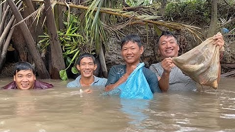 Lặn Cống Bắt Cá Làm Bữa Cơm Chiều Cây Nhà Lá Vườn | Cù Lao Dung Vlogs #236