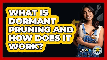 What Is Dormant Pruning And How Does It Work? - LearnToDIY360.com