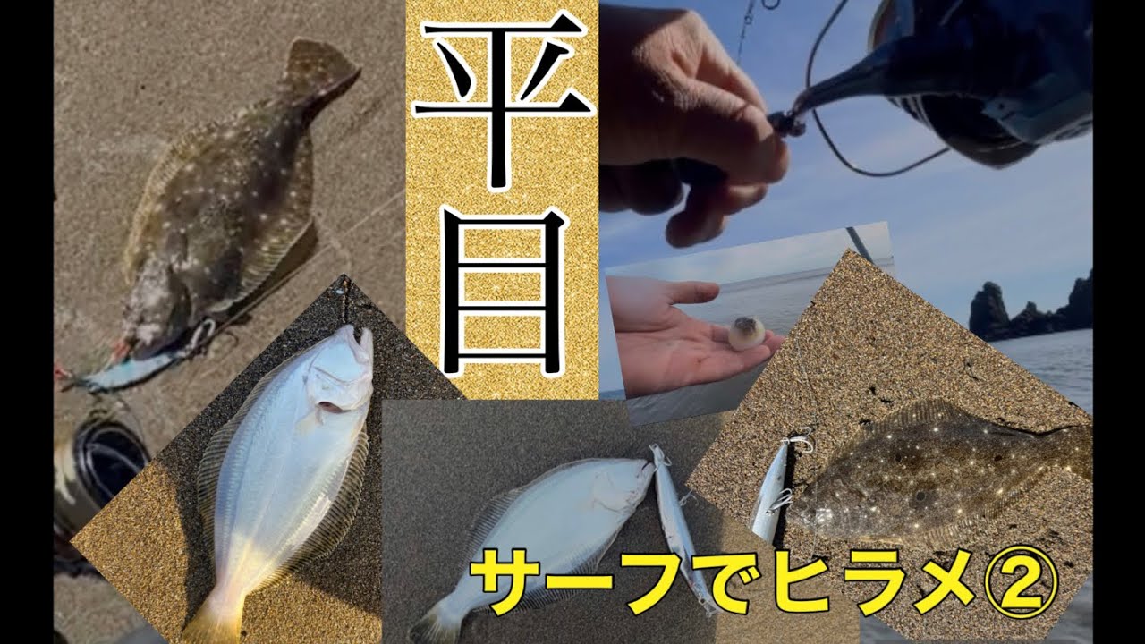 サーフでヒラメ釣ってみた②【北海道】【内浦湾】【釣り】【2022】【ショア】