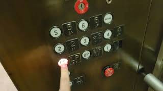 Reupload 2: Deep Brass 1982 Dover Traction Elevators | 2901 3rd Avenue | Seattle WA