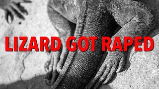 Bengal monitor lizard allegedly gang-raped in Maharashtra forest; Four men arrested on spot