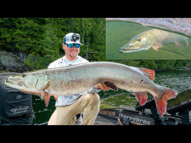 MY BIGGEST CANADIAN MUSKY! 