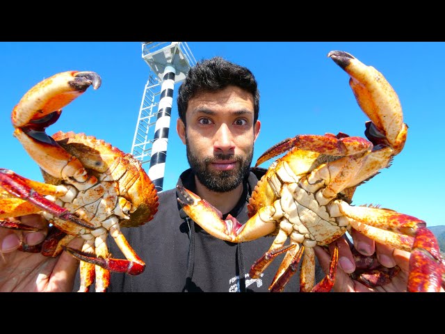 Bet you've never seen this!! Strange but DELICIOUS way to cook Crab! 