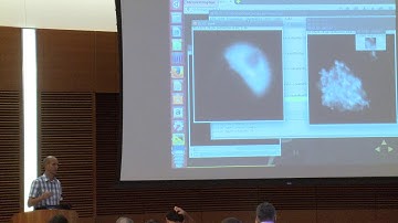 ImageJ2 scripts  Parameters + ImageJ Ops Video 2 005