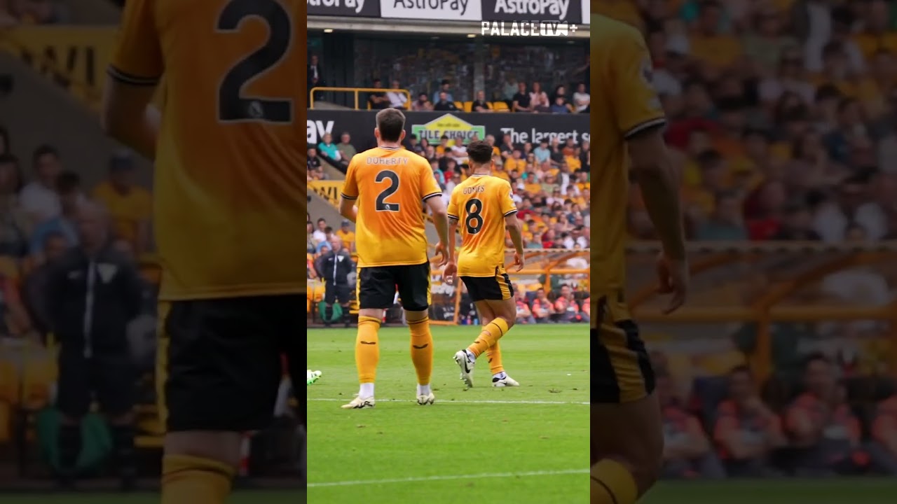 Pitch-side view of an Olise beauty, anyone? | Access All Over - Wolves #crystalpalace #premierleague