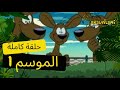 مارسوبيلامي 113 المارسوبيلامي في القصر