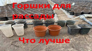 В каком горшке лучше растет рассада томата и огурца? Делюсь своим опытом. Стаканчики для рассады.