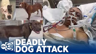 Dog owner charged in deadly northeast Harris County dog attack