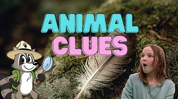 What Animal left the CLUE?