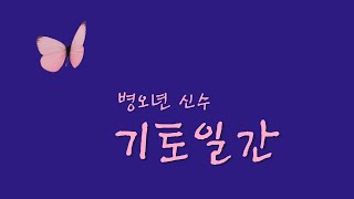 Year of the Pig - Kito