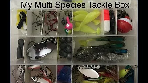 My Multi Species Fishing Box