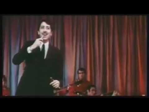 \"მხიარული რომანი\" შენს ეზოში გადარგული ხე ვიყო